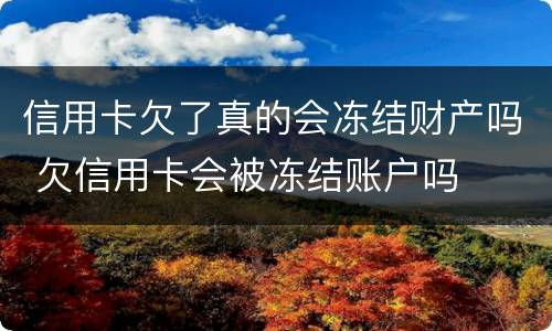 信用卡欠了真的会冻结财产吗 欠信用卡会被冻结账户吗