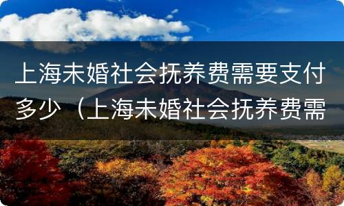 上海未婚社会抚养费需要支付多少（上海未婚社会抚养费需要支付多少钱）