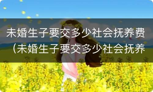 未婚生子要交多少社会抚养费（未婚生子要交多少社会抚养费合适）