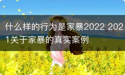 什么样的行为是家暴2022 2021关于家暴的真实案例