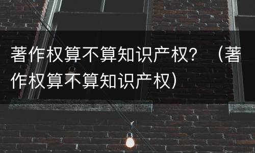 著作权算不算知识产权？（著作权算不算知识产权）