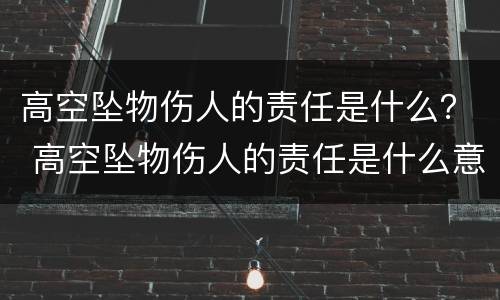 高空坠物伤人的责任是什么？ 高空坠物伤人的责任是什么意思