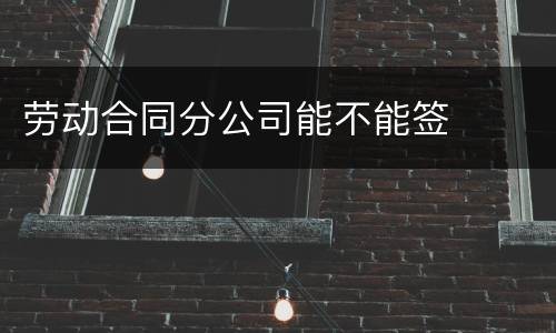 劳动合同分公司能不能签