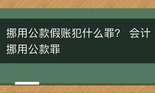 挪用公款假账犯什么罪？ 会计挪用公款罪