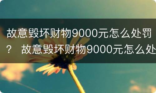 故意毁坏财物9000元怎么处罚？ 故意毁坏财物9000元怎么处罚他