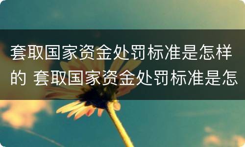 套取国家资金处罚标准是怎样的 套取国家资金处罚标准是怎样的规定