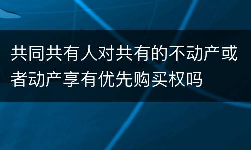 共同共有人对共有的不动产或者动产享有优先购买权吗