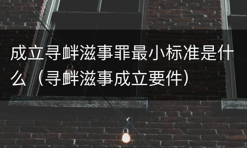 成立寻衅滋事罪最小标准是什么（寻衅滋事成立要件）