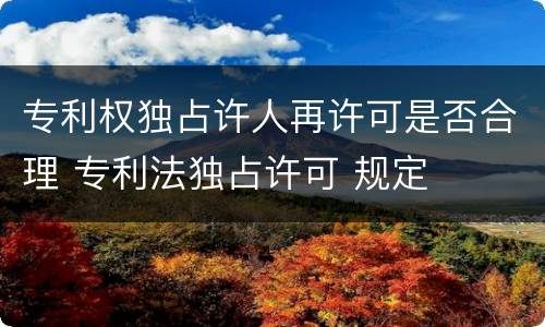 专利权独占许人再许可是否合理 专利法独占许可 规定