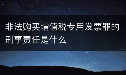 非法购买增值税专用发票罪的刑事责任是什么