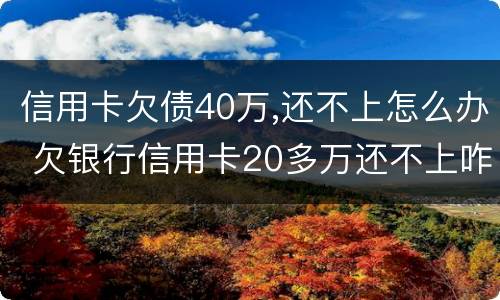 信用卡欠债40万,还不上怎么办 欠银行信用卡20多万还不上咋办