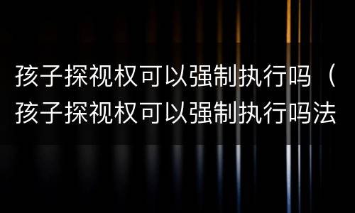 孩子探视权可以强制执行吗（孩子探视权可以强制执行吗法律）