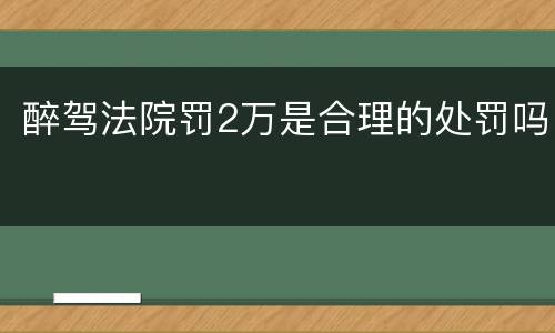 醉驾法院罚2万是合理的处罚吗