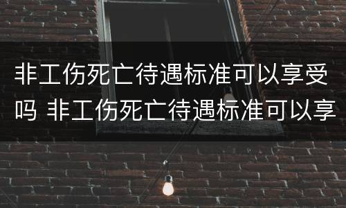 非工伤死亡待遇标准可以享受吗 非工伤死亡待遇标准可以享受吗知乎