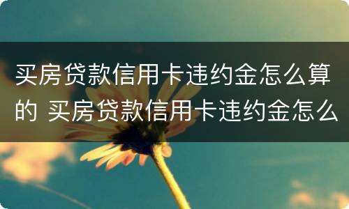 买房贷款信用卡违约金怎么算的 买房贷款信用卡违约金怎么算的呀