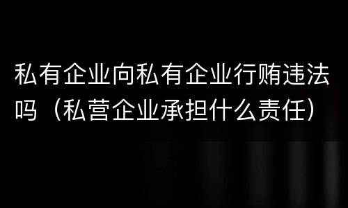 私有企业向私有企业行贿违法吗（私营企业承担什么责任）