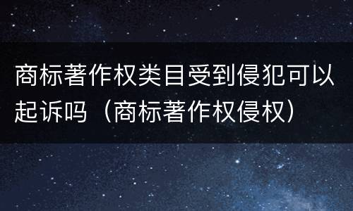 商标著作权类目受到侵犯可以起诉吗（商标著作权侵权）