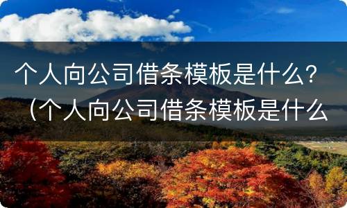 个人向公司借条模板是什么？（个人向公司借条模板是什么样的）