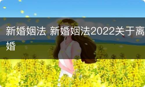 新婚姻法 新婚姻法2022关于离婚