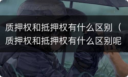 质押权和抵押权有什么区别（质押权和抵押权有什么区别呢）