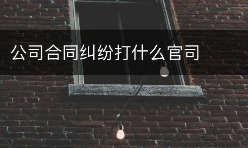 公司合同纠纷打什么官司