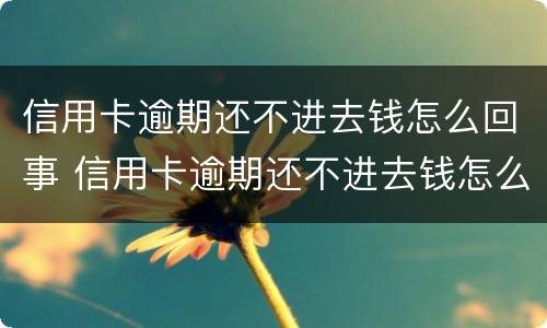 信用卡逾期还不进去钱怎么回事 信用卡逾期还不进去钱怎么回事呢