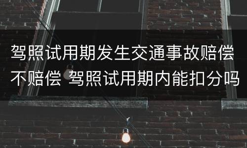 驾照试用期发生交通事故赔偿不赔偿 驾照试用期内能扣分吗