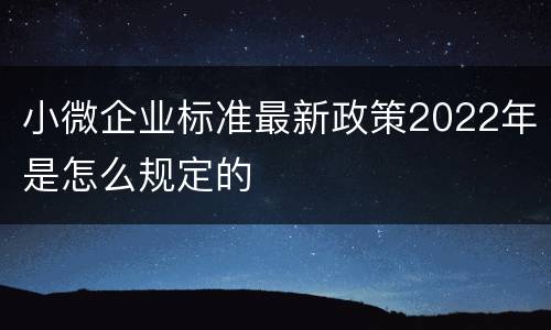 小微企业标准最新政策2022年是怎么规定的