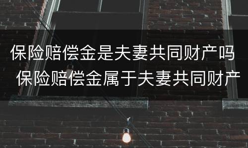 保险赔偿金是夫妻共同财产吗 保险赔偿金属于夫妻共同财产吗