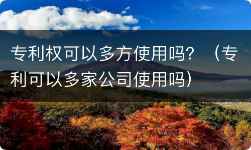 专利权可以多方使用吗？（专利可以多家公司使用吗）