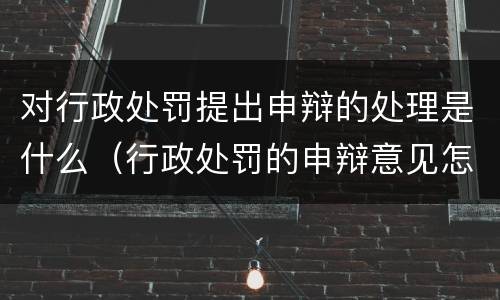 对行政处罚提出申辩的处理是什么（行政处罚的申辩意见怎么写）