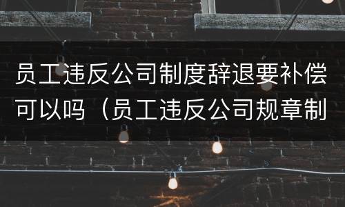 员工违反公司制度辞退要补偿可以吗（员工违反公司规章制度的辞退）