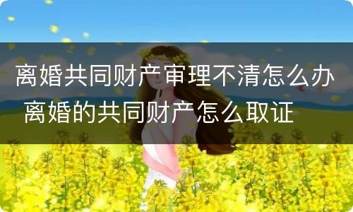 离婚共同财产审理不清怎么办 离婚的共同财产怎么取证