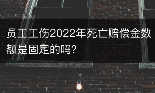 员工工伤2022年死亡赔偿金数额是固定的吗？