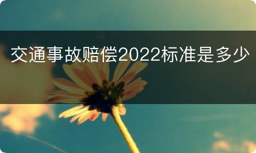 交通事故赔偿2022标准是多少