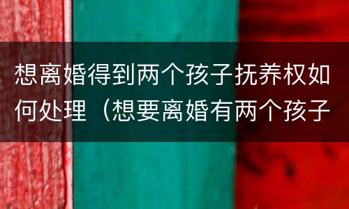 想离婚得到两个孩子抚养权如何处理（想要离婚有两个孩子怎么办）