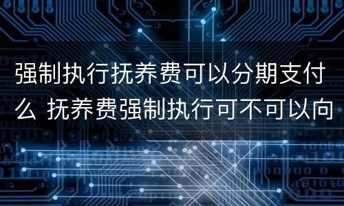 强制执行抚养费可以分期支付么 抚养费强制执行可不可以向对方父母要