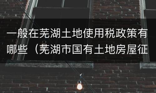 一般在芜湖土地使用税政策有哪些（芜湖市国有土地房屋征收办法）