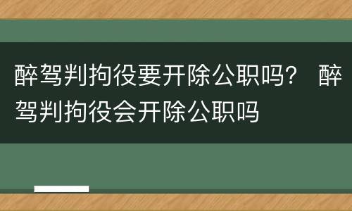 醉驾判拘役要开除公职吗？ 醉驾判拘役会开除公职吗