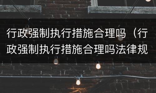 行政强制执行措施合理吗（行政强制执行措施合理吗法律规定）