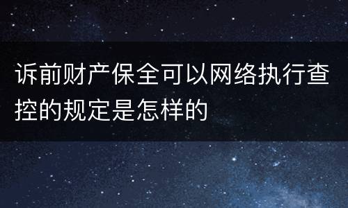 诉前财产保全可以网络执行查控的规定是怎样的