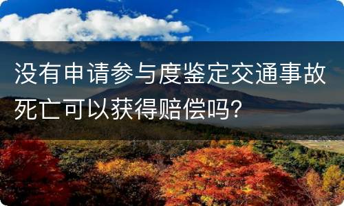 没有申请参与度鉴定交通事故死亡可以获得赔偿吗？