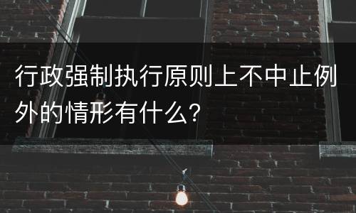 行政强制执行原则上不中止例外的情形有什么？