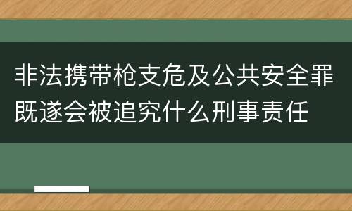 非法携带枪支危及公共安全罪既遂会被追究什么刑事责任