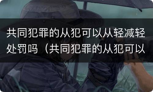 共同犯罪的从犯可以从轻减轻处罚吗（共同犯罪的从犯可以从轻减轻处罚吗判几年）