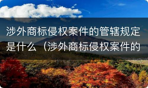 涉外商标侵权案件的管辖规定是什么（涉外商标侵权案件的管辖规定是什么法律）