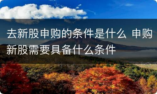 去新股申购的条件是什么 申购新股需要具备什么条件