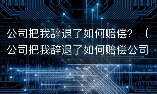 公司把我辞退了如何赔偿？（公司把我辞退了如何赔偿公司）