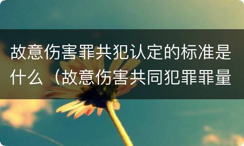 故意伤害罪共犯认定的标准是什么（故意伤害共同犯罪罪量刑标准）