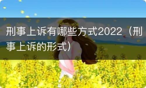 刑事上诉有哪些方式2022（刑事上诉的形式）